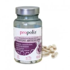 Gelules Articulation 90 Gelules