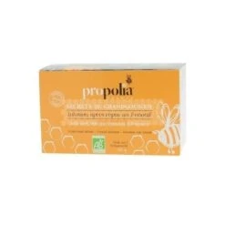 PROPOLIA - INFUSION BIO APRÈS-REPAS (20 SACHETS DE 1.5 G)