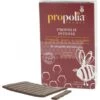 PROPOLIA - PROPOLIS PURE A MACHER (PLAQUETTE 10 G)